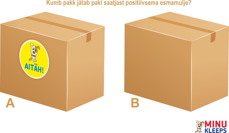 Kumb pakk tekitaks paki saajas positiivsemat emotsiooni? A või B?
